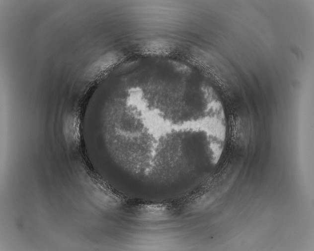 X0000111370692200908211319