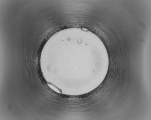 X0000111370693200908211319