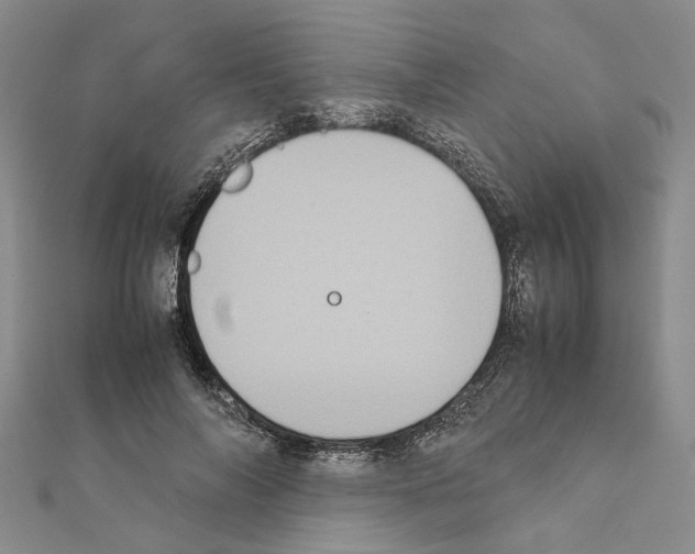 X0000111370694200908211319