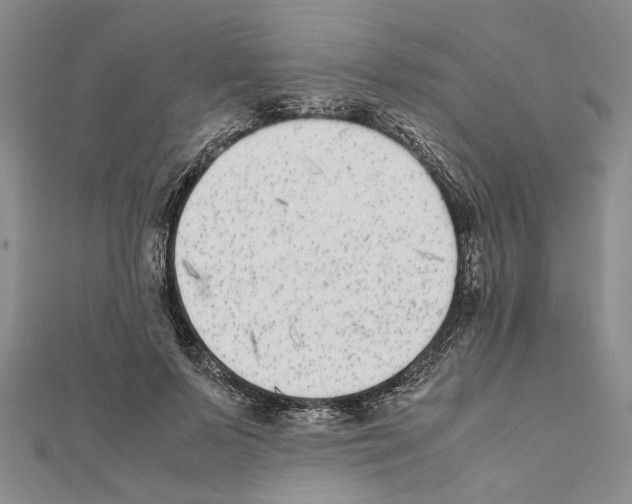 X0000111370695200908211319