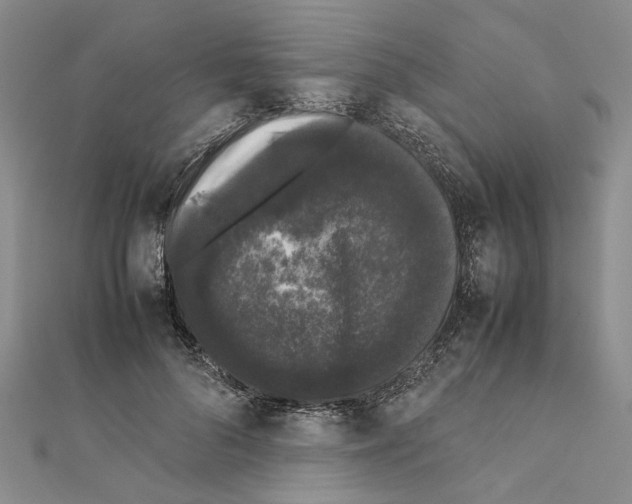 X0000111370696200908211319