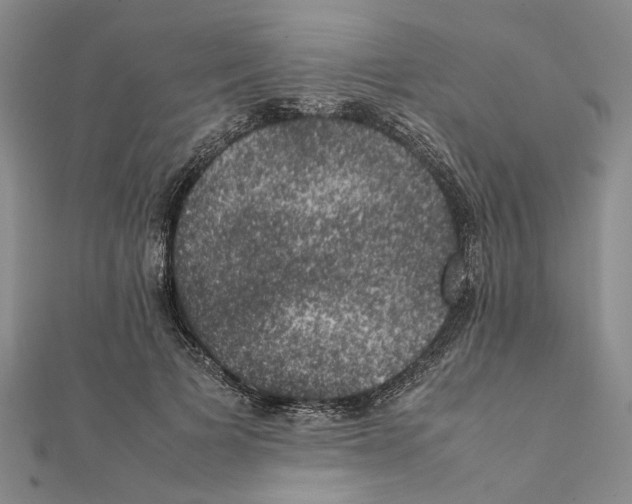 X0000111370697200908211319