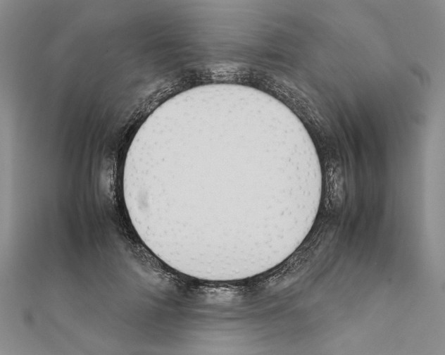 X0000111370698200908211319