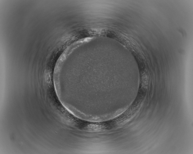 X0000111370699200908211319