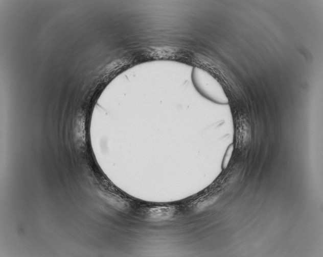 X0000111370700200908211318