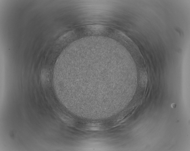 X0000111370701200908211318