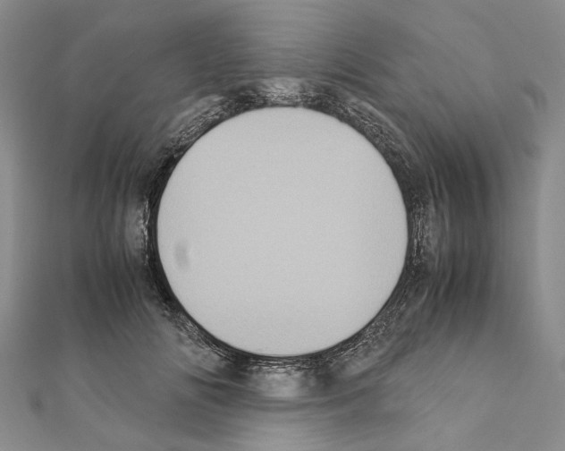 X0000111370702200908211318