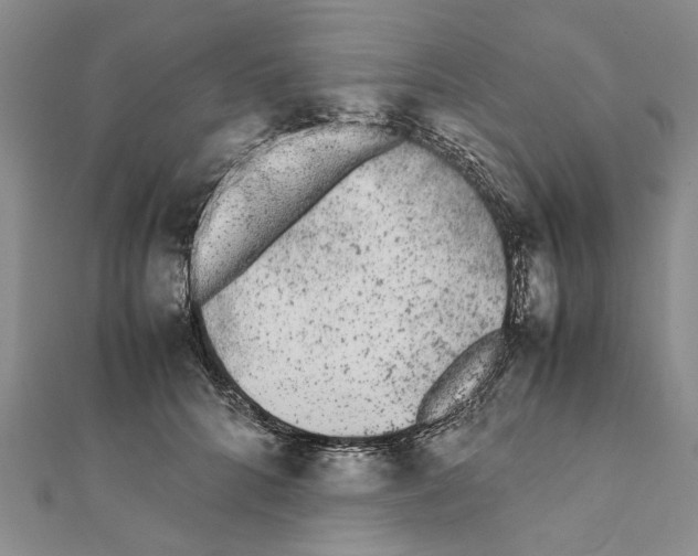 X0000111370704200908211318