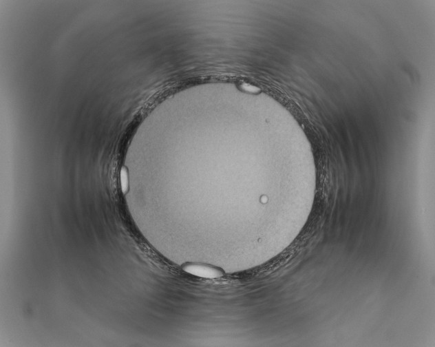 X0000111370708200908211318