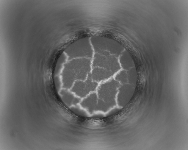 X0000111370711200908211318