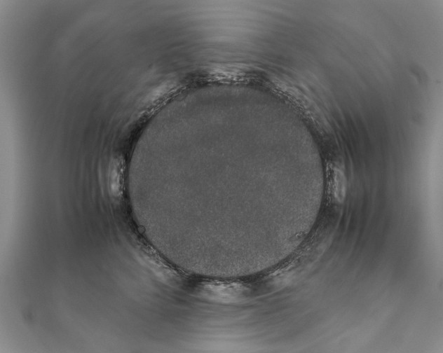X0000111370712200908211318