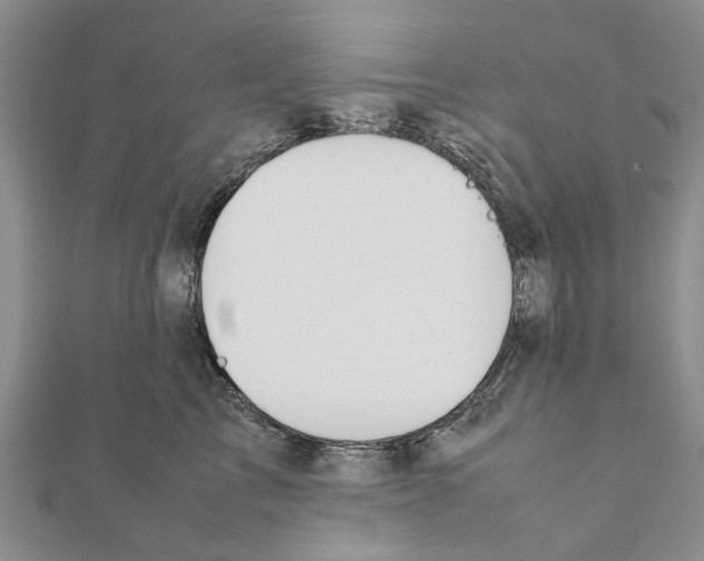 X0000111370713200908211318