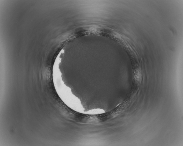 X0000111370715200908211318