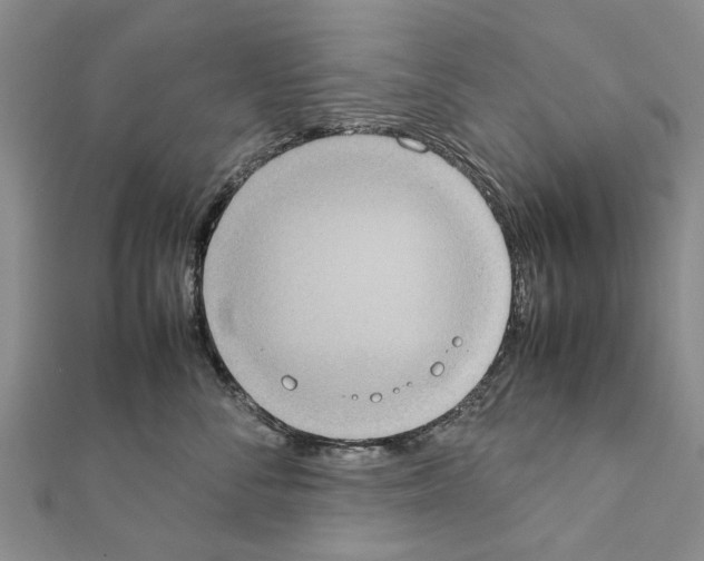 X0000111370716200908211318