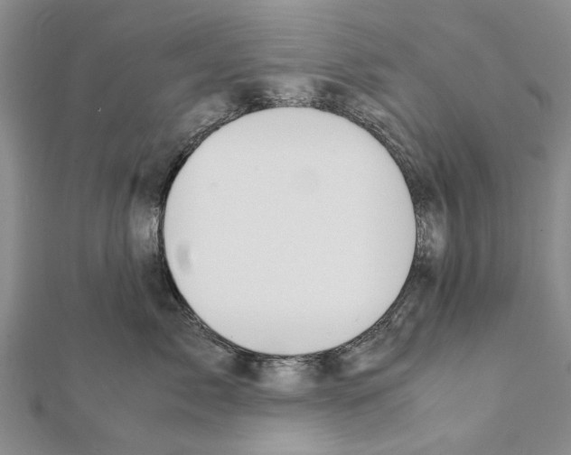 X0000111370717200908211318