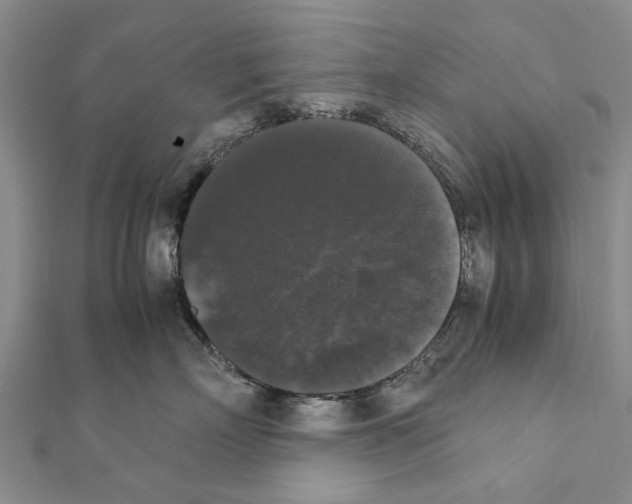 X0000111370718200908211318