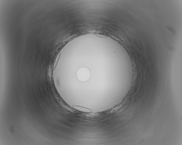 X0000111370720200908211318