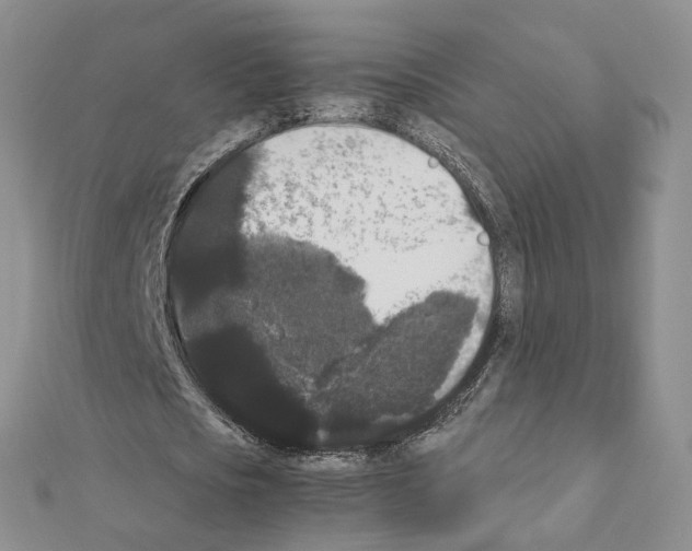 X0000111370721200908211317