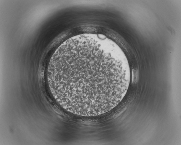 X0000111370723200908211317