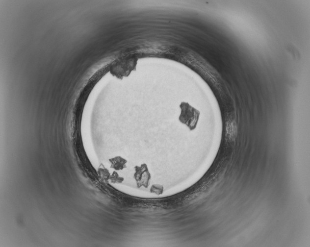 X0000111370724200908211317