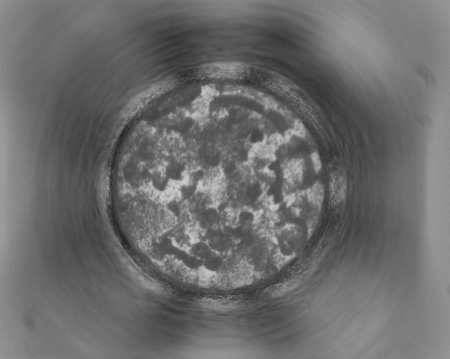 X0000111370725200908211318