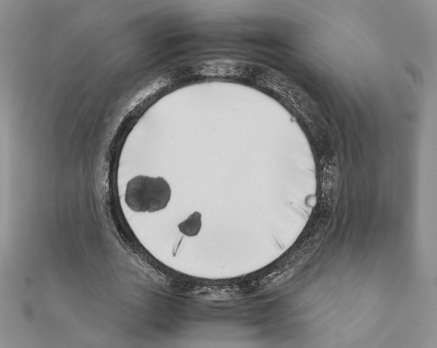 X0000111370727200908211318
