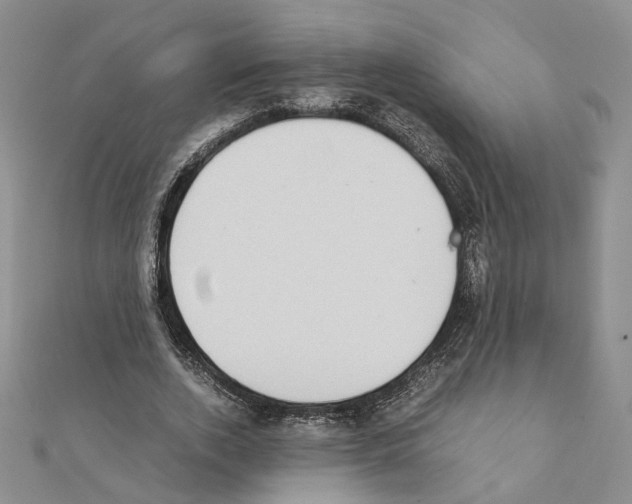 X0000111370728200908211318