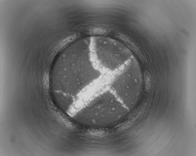 X0000111370729200908211318