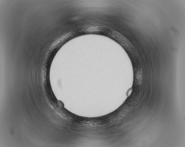 X0000111370732200908211318