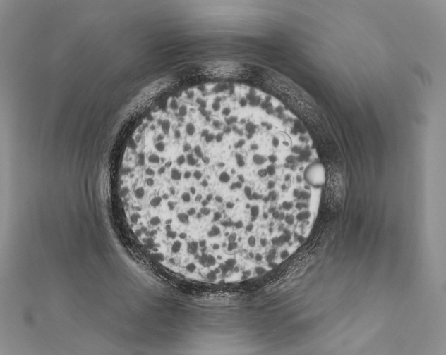 X0000111370734200908211318