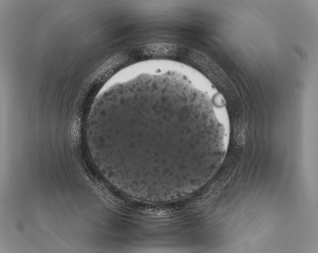 X0000111370735200908211318