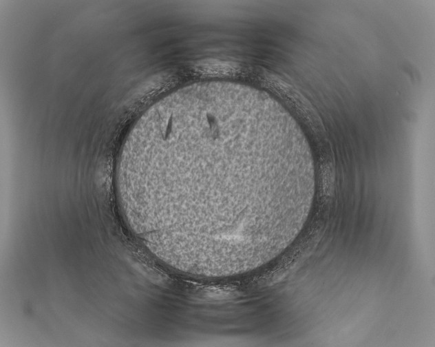 X0000111370737200908211318