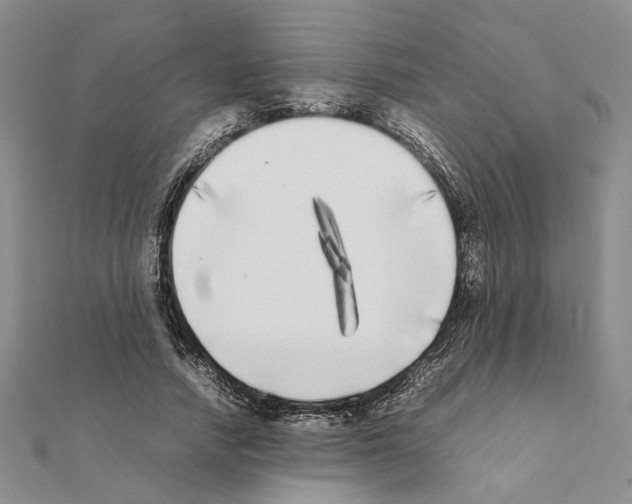 X0000111370738200908211318