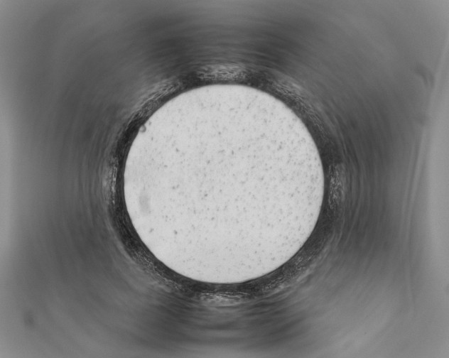X0000111370739200908211318