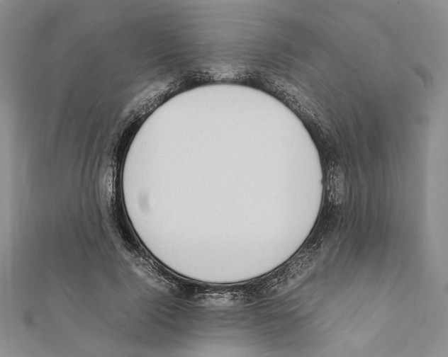 X0000111370740200908211318