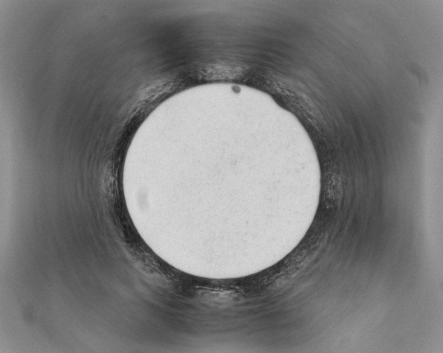 X0000111370743200908211318