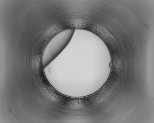 X0000111370744200908211318