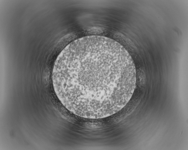 X0000111370745200908211318
