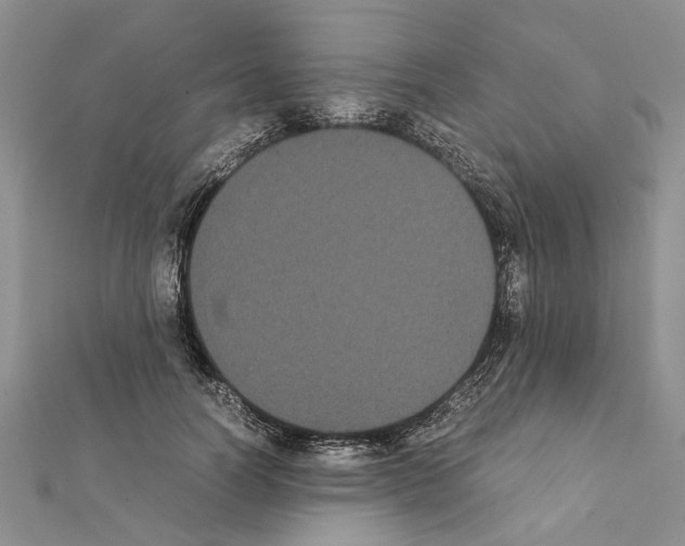 X0000111370746200908211318