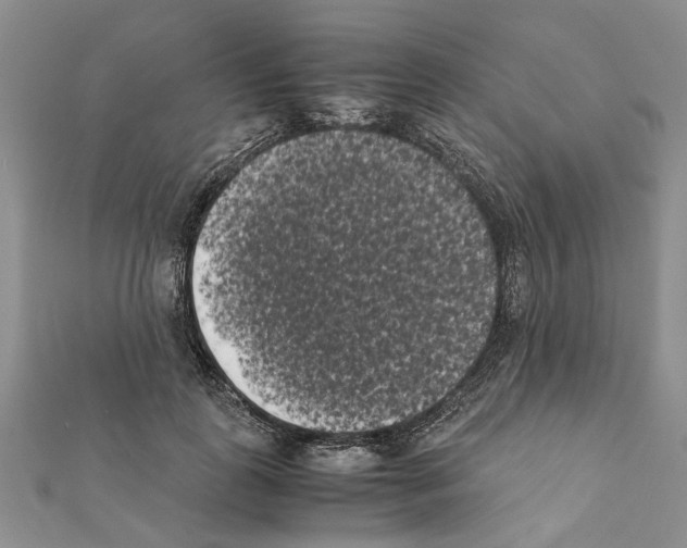 X0000111370747200908211318