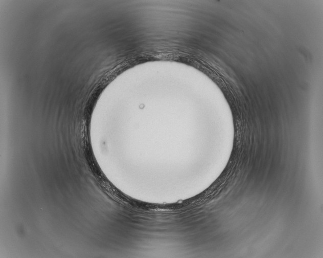 X0000111370748200908211318