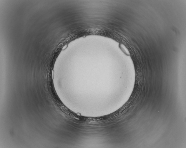 X0000111370750200908211318