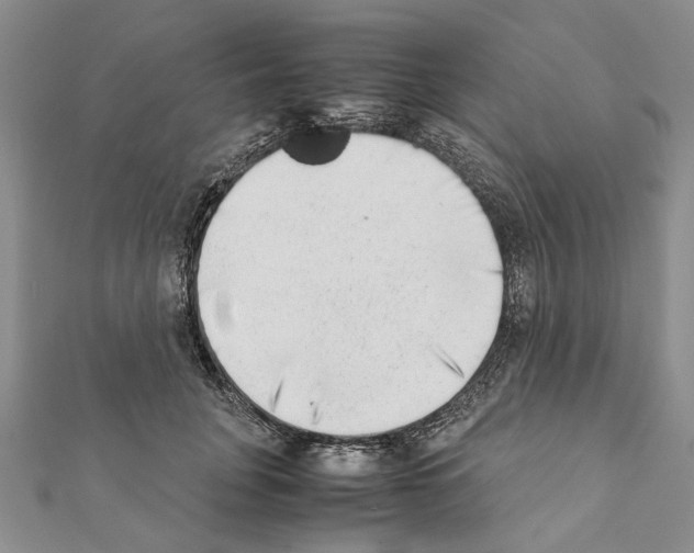 X0000111370751200908211318