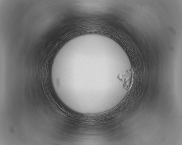 X0000111370752200908211318