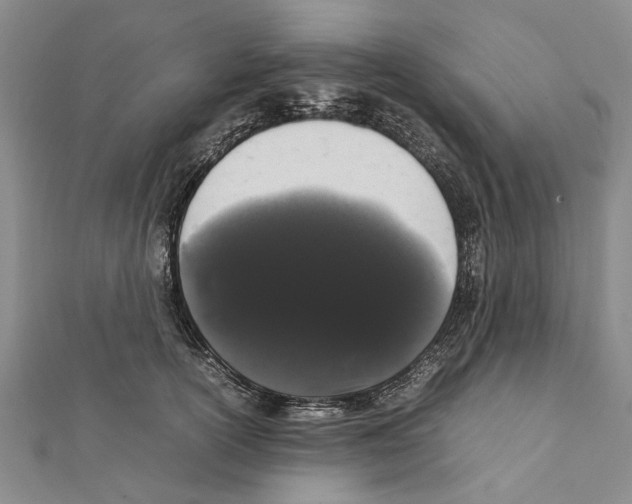 X0000111370754200908211318