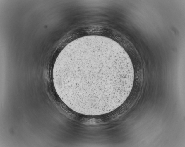 X0000111370755200908211318