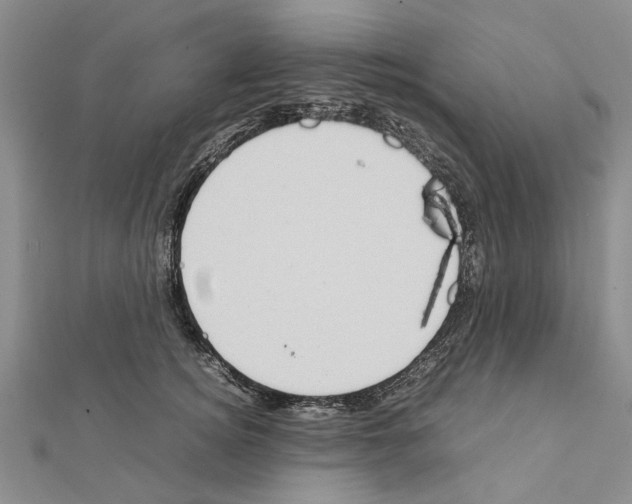 X0000111370756200908211318