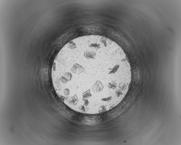 X0000111370757200908211318