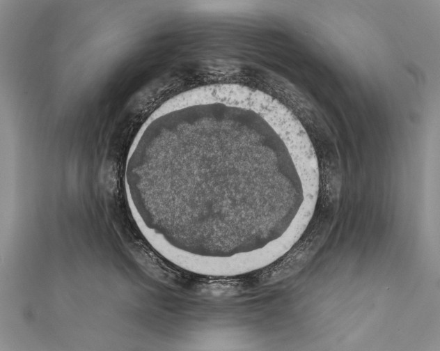 X0000111370758200908211318