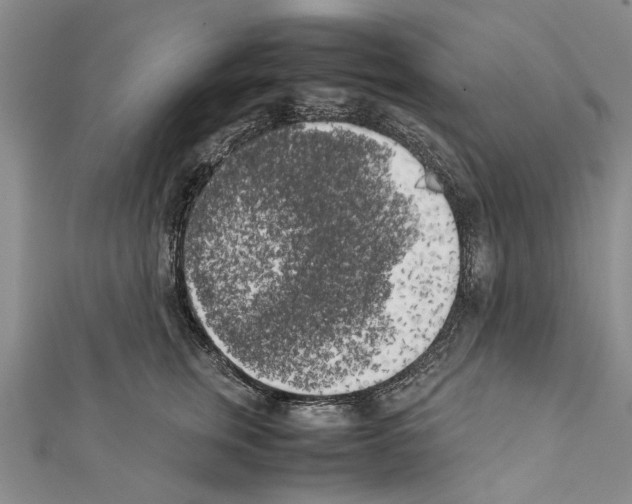 X0000111370759200908211318